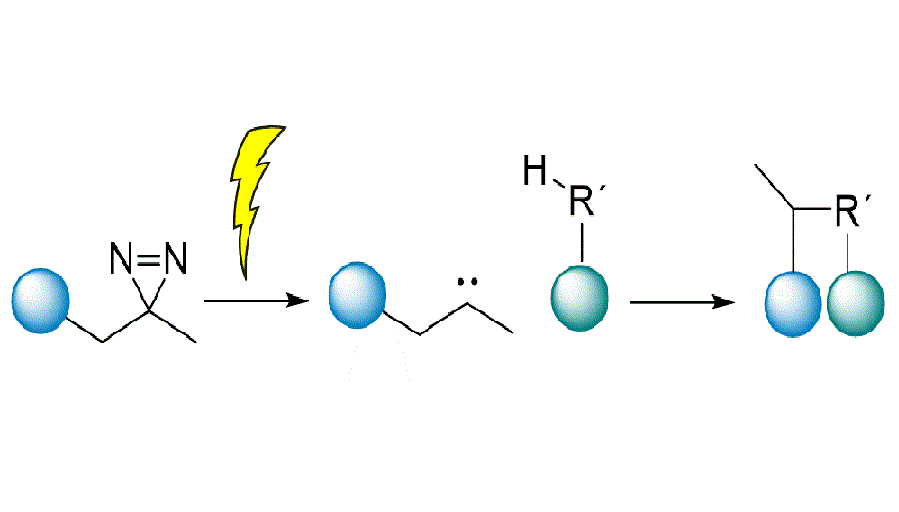 Click-Photocrosslinking compounds